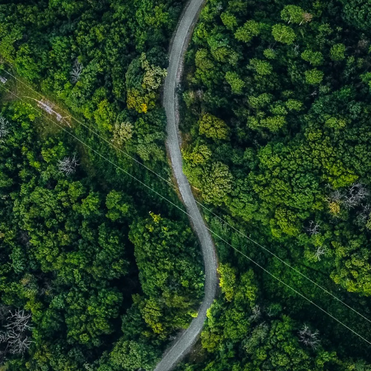 Sustainability